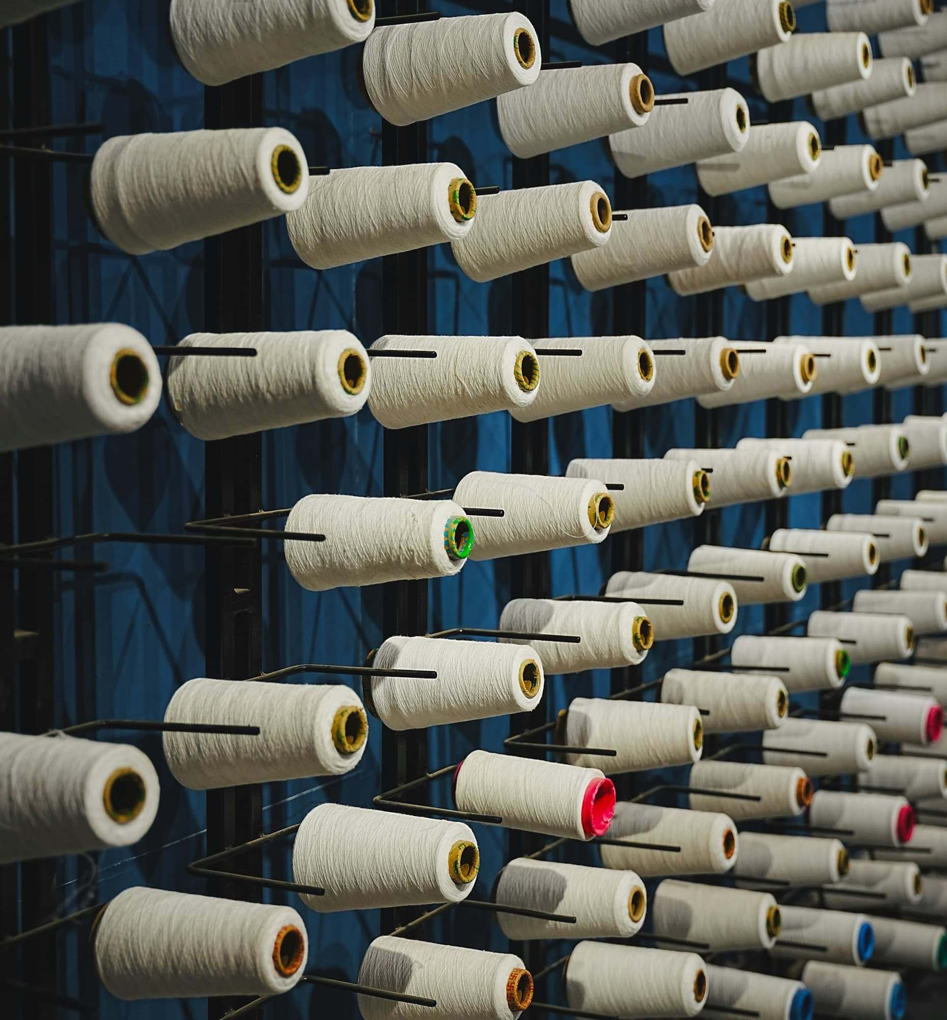 Rows of white yarn cones on a warping creel